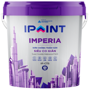 IP-CTS